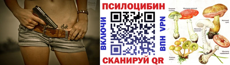 Галлюциногенные грибы Psilocybine cubensis  Болхов 
